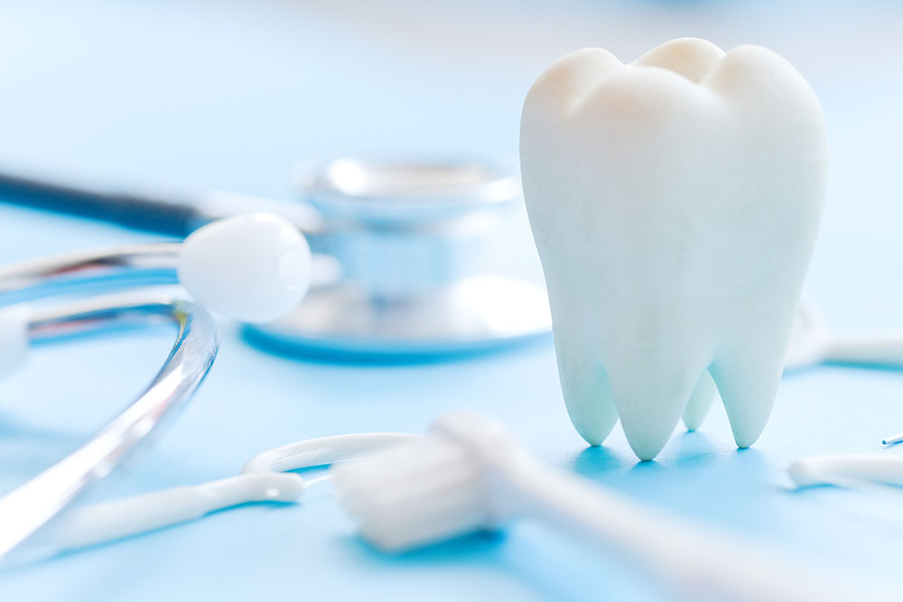 teeth model and dental equipment on table